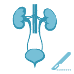 Urologist (የኩላሊት፡ የፕሮስቴት፡ የሽንት ፊኛና ትቦ ቀዶ ህክምና ስፔሻሊስት)